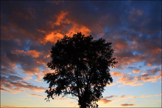 �������u�s���̂����j�v���~�����I�Z�t������鏗���̖{���Ƃ́H