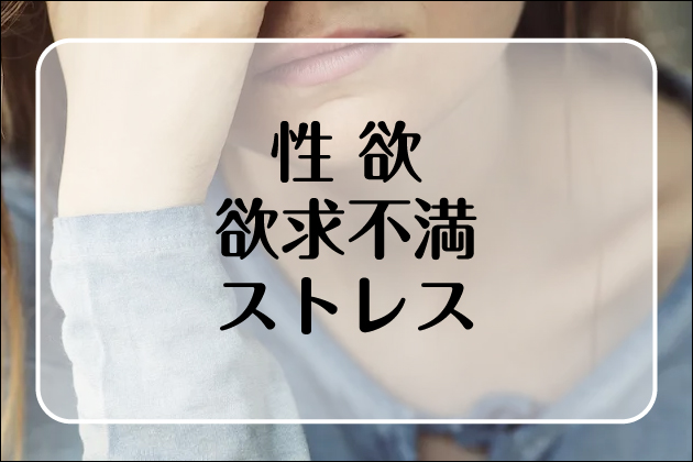 �Z�b�N�X�t�����hNavi�b�}�b�`���O�A�v���ŃZ�t���������@